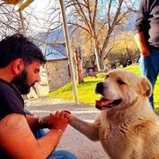 ���������� �������, ���� ������� Irakli, 41 ���, ������������ ��� ������, ����� � ���������, c�������� ���������, ���������