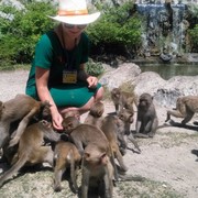 ���������� �����, ���� ������� ������, 38 ���, ������������ ��� ������, ����� � ���������, c�������� ���������