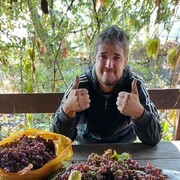 ���������� ������, ���� ������� ����, 41 ���, ������������ ��� ������, ����� � ���������, c�������� ���������, ���������