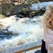 ���������� ������, ���� ������� �����, 36 ���, ������������ ��� ������, ����� � ���������, c�������� ���������