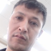 ���������� �����-���������, ���� ������� �����, 40 ���, ������������ ��� ������, ����� � ���������, c�������� ���������