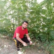  ,   , 38 ,   c 