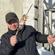 ���������� �����, ���� ������� �������, 41 ���, ������������ ��� ������, ����� � ���������, c�������� ���������, ���������