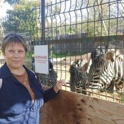 ���������� �����������, ���� ������� �������, 51 ���, ������������ ��� ������, ����� � ���������