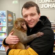 ���������� ������, ���� ������� ���������, 36 ���, ������������ ��� ������, ����� � ���������