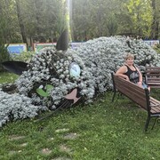  ,   , 49 ,   c 