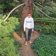 ���������� �����������, ���� ������� �������, 34 ����, ������������ ��� ����� � ���������, c�������� ���������