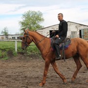 ���������� �������-����������, ������� �������, 49