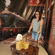 ���������� ���������, ���� ������� �������, 51 ���, ������������ ��� ������, ����� � ���������, c�������� ���������