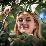 ���������� ������, ���� ������� ���������, 20 ���, ������������ ��� ������, ����� � ���������, c�������� ���������