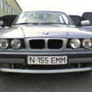 ���������� ���������, ���� ������� �����, 41 ���, ������������ 