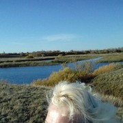  ,   , 66 ,   ,   , c 