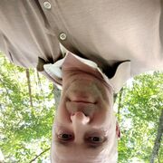 ���������� ����, ���� ������� ������, 44 ����, ������������ ��� ������, ����� � ���������, c�������� ���������, ���������