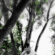 ���������� �������, ���� ����� Manvisyou, 22 ����, ������������ ��� ������, ����� � ���������