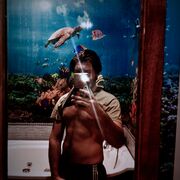 ���������� �����-���������, ���� ����� ������, 19 ���, ������������ ��� ������, ����� � ���������