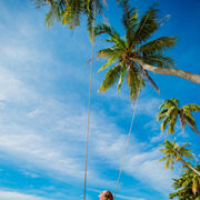 ���������� �������������, ���� ������� ������, 36 ���, ������������ ��� ������, ����� � ���������, c�������� ���������