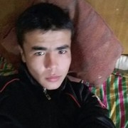  ,   Sevgibu, 31 ,   ,   , c 