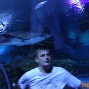  ,   , 41 ,   