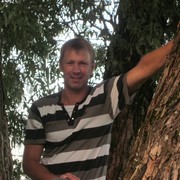  -,   , 51 ,   ,   , c 