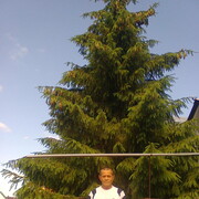 ���������� ��������, ���� ������� ���������, 56 ���, ������������ ��� ������, ����� � ���������, c�������� ���������