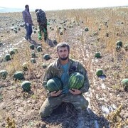 ���������� �����������, ���� ������� ������, 32 ����, ������������ ��� ������, ����� � ���������