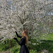 ���������� ������, ���� ������� ����, 34 ����, ������������ ��� ����� � ���������, c�������� ���������