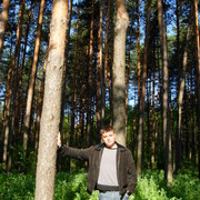 ���������� ���������, ���� ������� �����, 43 ����, ������������ ��� ������, ����� � ���������, c�������� ���������