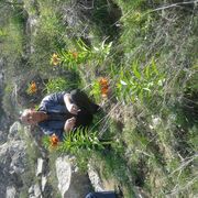  ,   , 50 ,   ,   , c , 