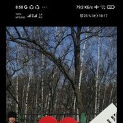 ���������� ����������, ���� ������� ������, 40 ���, ������������ ��� c�������� ���������