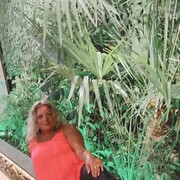 ���������� �����-���������, ���� ������� ������, 44 ����, ������������ 