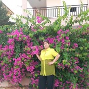  ,   , 53 ,   c 