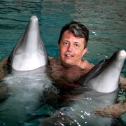 ���������� ������������, ���� ������� �������, 60 ���, ������������ ��� c�������� ���������