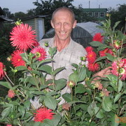  ,   , 60 ,   