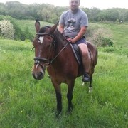 ���������� ������-��-����, ���� ������� ������, 38 ���, ������������ ��� ������, ����� � ���������, c�������� ���������