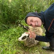 ���������� �������, ���� ������� ������, 31 ���, ������������ ��� ������, ����� � ���������