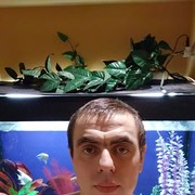 ���������� �����, ���� ������� ������, 45 ���, ������������ ��� ������, ����� � ���������, c�������� ���������