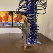  ,   , 37 ,   ,   