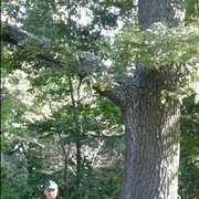 ���������� ������, ���� ������� ������, 64 ����, ������������ ��� ������, ����� � ���������, c�������� ���������