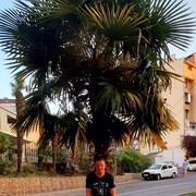 ���������� ��������, ���� ������� ������, 50 ���, ������������ ��� ������, ����� � ���������, c�������� ���������, ���������