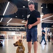 ���������� �����-���������, ���� ������� �����, 37 ���, ������������ ��� ������, ����� � ���������, c�������� ���������