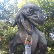 ���������� �����, ���� ������� �������, 36 ���, ������������ ��� ����� � ���������, c�������� ���������, ���������