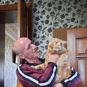 ���������� ���������, ���� ������� ������, 46 ���, ������������ ��� ������, ����� � ���������, c�������� ���������