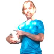  ,   , 40 ,   ,   