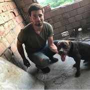 ���������� ������, ���� ������� ����, 30 ���, ������������ ��� ������, ����� � ���������