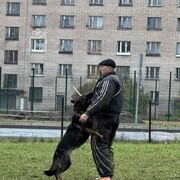  -,   Zlayababka, 20 ,   ,   