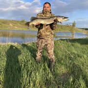 ���������� ������, ���� ������� �������, 39 ���, ������������ ��� ������, ����� � ���������, ���������