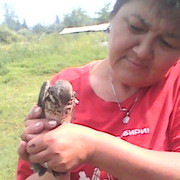  ,   , 61 ,  