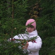 ���������� �����, ���� ������� ����, 65 ���, ������������ ��� c�������� ���������