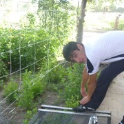 ���������� ������, ���� ������� �����, 35 ���, ������������ ��� ������, ����� � ���������, c�������� ���������, ���������