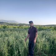 ���������� ������, ���� ������� Alik, 35 ���, ������������ ��� ������, ����� � ���������